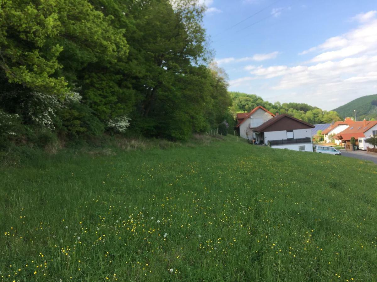 Ferienhaus Moscheltal Villa Waldgrehweiler Luaran gambar